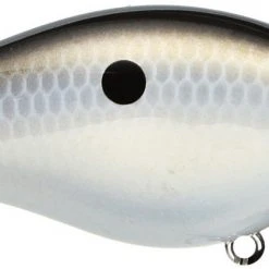 Strike King Kvd Square Bill 1.0 Silent Crankbaits