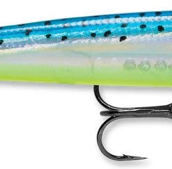 Baits Rapala Husky Jerk 10