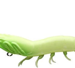 Livetarget Hybrid Shrimp 3 1/2" 15 Livetarget Hybrid Shrimp 3 1/2