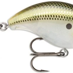 Baits Storm Arashi Rattling Wake Crank 06