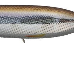 Evergreen International Sb-150 "Shower Blows" Topwater Bait Baits 17 Evergreen International Sb-150
