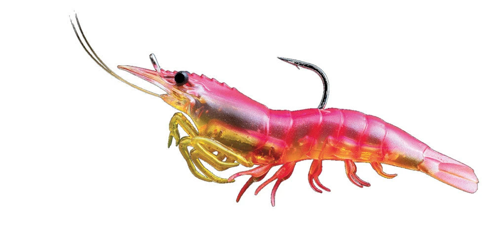 Baits Livetarget Rigged Shrimp 100 1/2 Oz. 4 Pack 8 Baits Livetarget Rigged Shrimp 100 1/2 Oz. 4 Pack