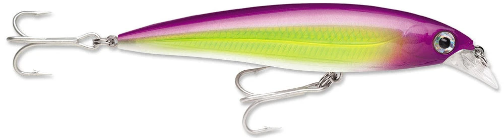 Baits Rapala X-Rap Saltwater Sxr-10 4" 8 Baits Rapala X-Rap Saltwater Sxr-10 4"