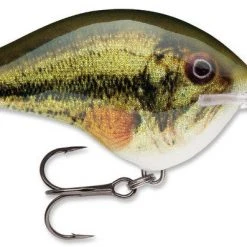 Baits Rapala Dt Series Crankbait Dt14 57 Baits Rapala Dt Series Crankbait Dt14