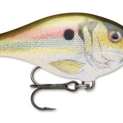 Rapala Scatter Rap Crank Shallow 2 3/4