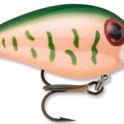 Storm Original Wiggle Wart Crankbaits