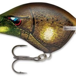 Baits Rapala Dt Series Crankbait Dt14 62 Baits Rapala Dt Series Crankbait Dt14