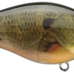 Strike King Kvd Square Bill 1.0 Silent Crankbaits