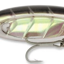 Baits Williamson Jet Popper 05