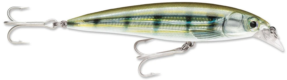 Baits Rapala X-Rap Saltwater Sxr-10 4" 12 Baits Rapala X-Rap Saltwater Sxr-10 4"