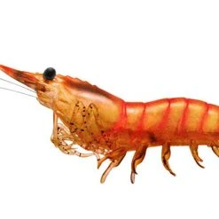 Livetarget Rigged Shrimp 75 1/4 Oz. 4 Pack Baits 17 Livetarget Rigged Shrimp 75 1/4 Oz. 4 Pack Baits