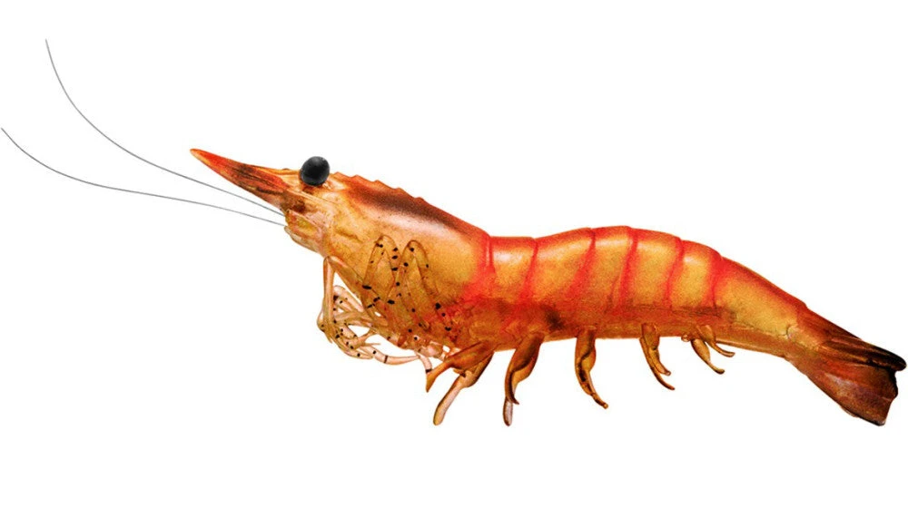 Baits Livetarget Rigged Shrimp 100 1/2 Oz. 4 Pack 7 Baits Livetarget Rigged Shrimp 100 1/2 Oz. 4 Pack