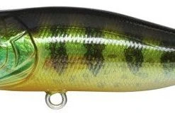 Megabass Pop-X Baits 24 Megabass Pop-X Baits