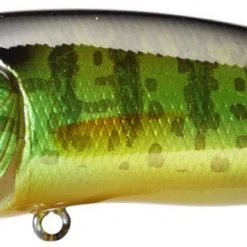 Megabass Pop Max Baits