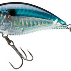 Yo-Zuri 3Db Wake Bait Floating Diver 2 3/4 Inch Shallow Square Bill Crankbait Baits 28 Yo-Zuri 3Db Wake Bait Floating Diver 2 3/4 Inch Shallow Square Bill Crankbait Baits