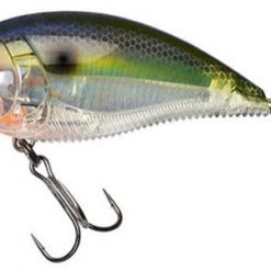 Yo-Zuri 3Db Wake Bait Floating Diver 2 3/4 Inch Shallow Square Bill Crankbait Baits 27 Yo-Zuri 3Db Wake Bait Floating Diver 2 3/4 Inch Shallow Square Bill Crankbait Baits