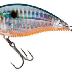 Yo-Zuri 3Db Wake Bait Floating Diver 2 3/4 Inch Shallow Square Bill Crankbait Baits 29 Yo-Zuri 3Db Wake Bait Floating Diver 2 3/4 Inch Shallow Square Bill Crankbait Baits