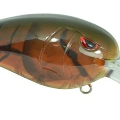 Baits SPRO Mike McClelland RkCrawler MD 55 Medium Diving Crankbait 11 Baits SPRO Mike McClelland RkCrawler MD 55 Medium Diving Crankbait