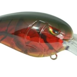 Baits SPRO Mike McClelland RkCrawler MD 55 Medium Diving Crankbait 14 Baits SPRO Mike McClelland RkCrawler MD 55 Medium Diving Crankbait