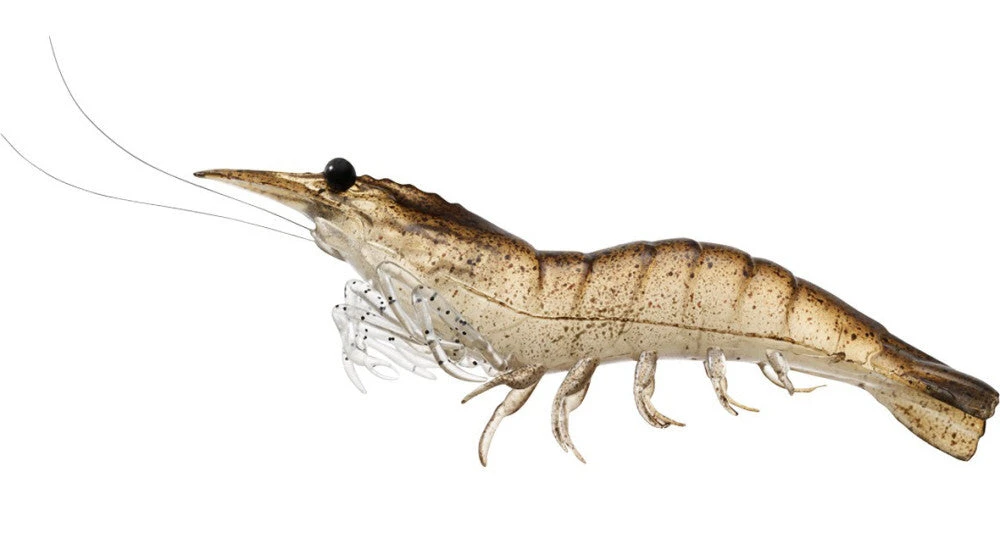 Livetarget Rigged Shrimp 75 1/4 Oz. 4 Pack Baits 10 Livetarget Rigged Shrimp 75 1/4 Oz. 4 Pack Baits