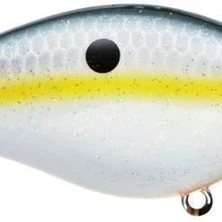 Strike King Kvd Square Bill 1.0 Silent Crankbaits