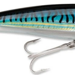 Baits Rapala X-Rap Saltwater Sxr-08 3 1/8