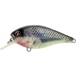 River2Sea Ish Monroe Biggie Poppa Bumpin' Rattle Fast