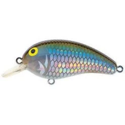 Baits Daiwa Peanut Medium Diving Crankbait 9 Baits Daiwa Peanut Medium Diving Crankbait