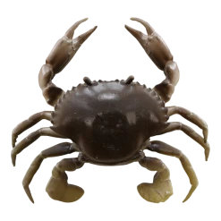 Baits Savage Gear 3D Tpe Crab Soft Plastic Creature 11 Baits Savage Gear 3D Tpe Crab Soft Plastic Creature