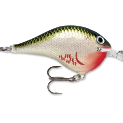 Rapala Dt Series Crankbait Dt6