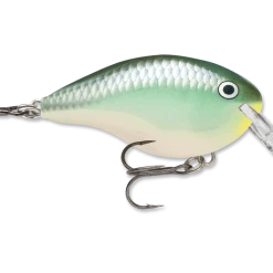 Rapala Dt Series Crankbait Dt4