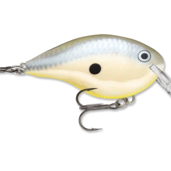 Rapala Dt Series Crankbait Dt4