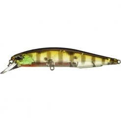 Duo International Baits Duo Realis Suspending Jerkbait 100SP