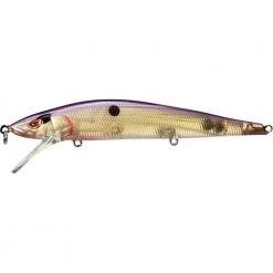 Spro Mike McClelland McStick 110 Baits