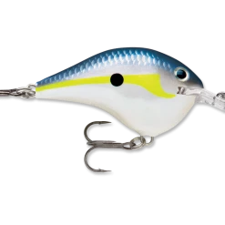 Rapala Dt Series Crankbait Dt6