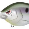 Spro Fat Papa 70 Baits