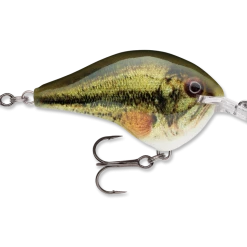 Rapala Dt Series Crankbait Dt6