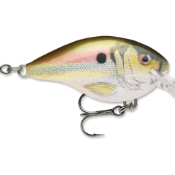 Rapala Dt Series Crankbait Dt4