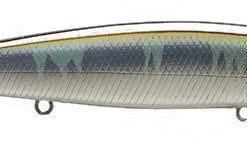 Baits Lucky Craft Flash Pointer 100 Shallow Diving Jerkbait