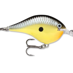 Rapala Dt Series Crankbait Dt6