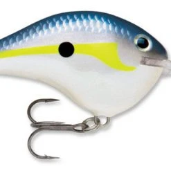 Baits Rapala Dt Series Crankbait Dt16