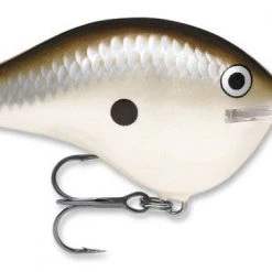 Baits Rapala Dt Series Crankbait Dt16