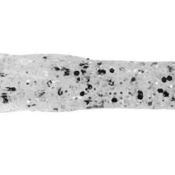 Dry Creek Drop Shot Tube 2 3/4 Inch Soft Plastic Tube 10 Pack 11 Dry Creek Drop Shot Tube 2 3/4 Inch Soft Plastic Tube 10 Pack