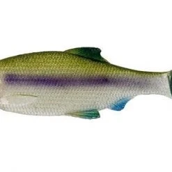 Westin Ricky The Roach 2 3/4 Inch Soft Paddle Tail Swimbait Baits