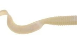 Berkley Gulp! Grub Floating 6 Inch 4 Pack