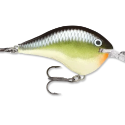Rapala Dt Series Crankbait Dt6