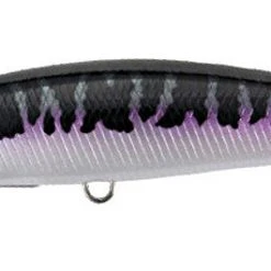 Duo International Duo Realis Fangbait 120SR Shallow Jerkbait Baits 22 Duo International Duo Realis Fangbait 120SR Shallow Jerkbait Baits
