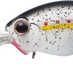Evergreen International Wh-8 Crankbait Baits 10 Evergreen International Wh-8 Crankbait Baits