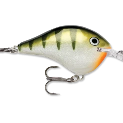 Rapala Dt Series Crankbait Dt6