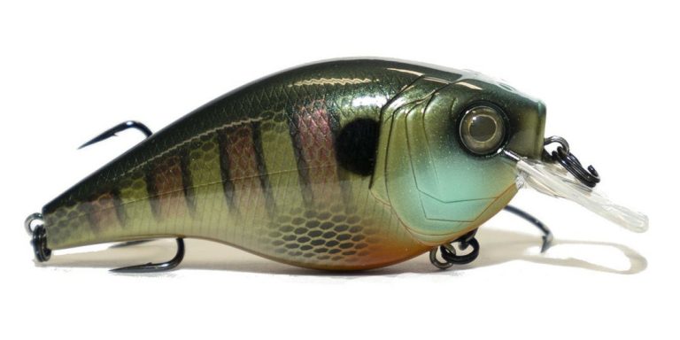 Pro Tackle Solutions Sales -Pro Tackle Solutions Sales 16741897240666 1080x1080 768x384 1